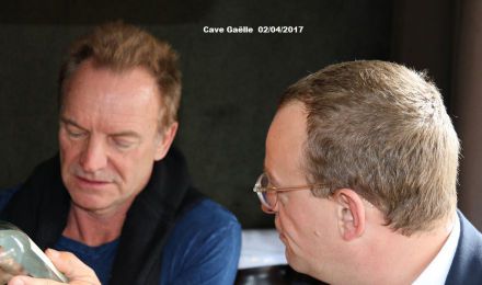 sting-5_880x520_bijgeknipt