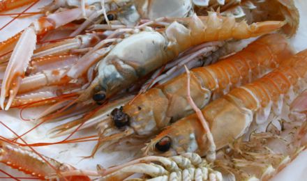 langoustine-1137470_1550x916_bijgeknipt