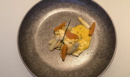 img_6366_1550x916_bijgeknipt