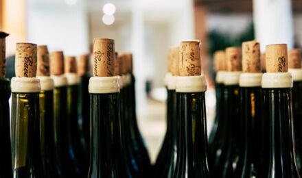 pexels-grape-things-2647933-scaled_1550x916_bijgeknipt